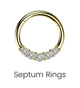 Septum Rings